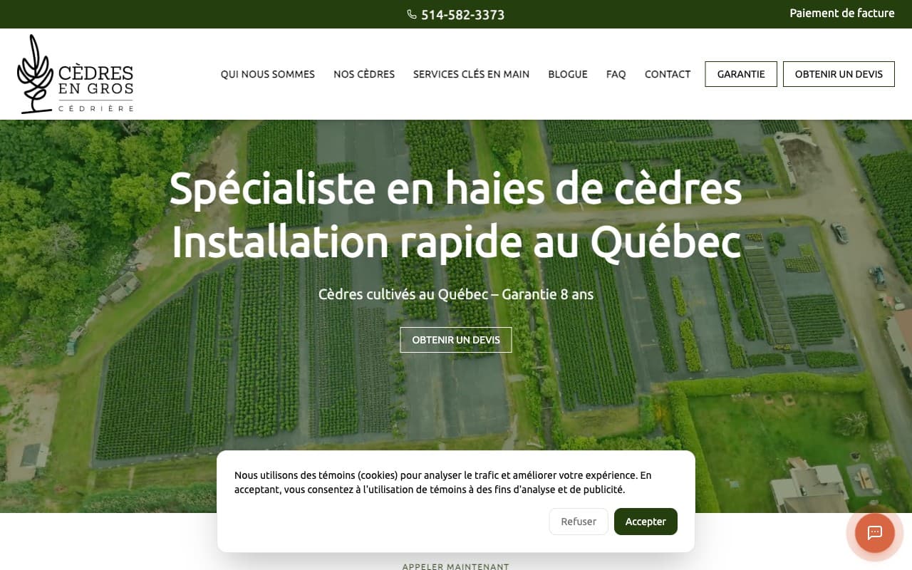 Cèdres en Gros
